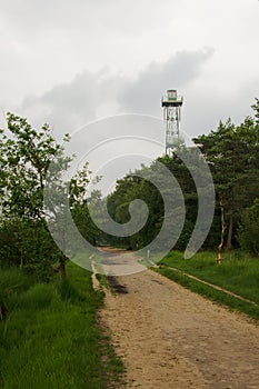 Path through the forest with lookout tower