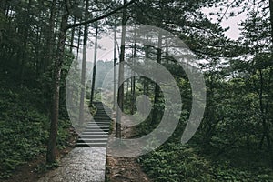 Path in forest in Mingyue Mountain, Jiangxi, China