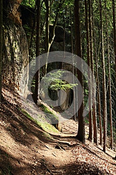 Path in forest with sandstone cliffs