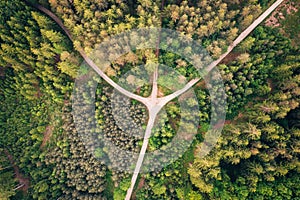 Path in forest of South Bohemia in Czech Republic