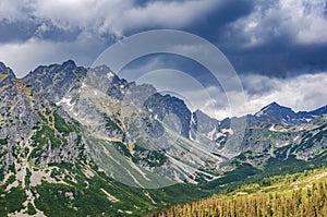 A path in a forest in the Tatra Mountains in Slovakia. Europe.