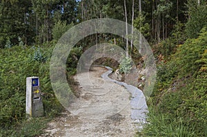 Path among the forest where the pilgrims walk in the Camino de Santiago, Spain.