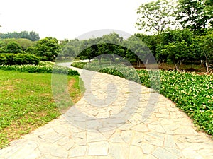 Path through the garden