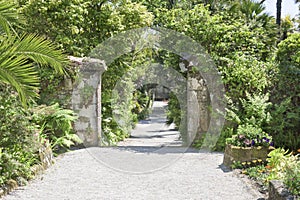 Path in Garden