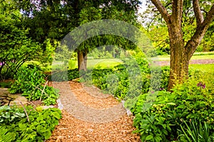 Path through a garden at Cylburn Arboretum, Baltimore, Maryland.