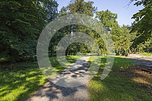 Path in the garden. Next to the road is a meadow and trees. In the background is a blue sky. There are shadows of trees on the way