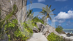 A path goes along the beach on a tropical island.