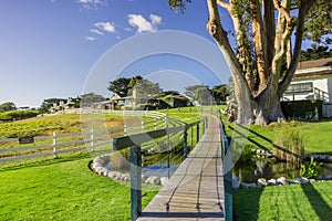 Path going over a green meadow; restaurants in the background, Carmel-by-the-Sea, Monterey Peninsula, California