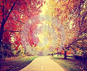 a path going though a forest or park with trees with autumn leaves