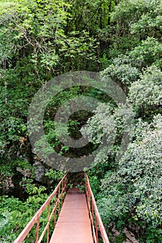 The path of the Gole del Calore In the heart of the Cilento National Park photo