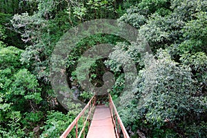 The path of the Gole del Calore In the heart of the Cilento National Park photo