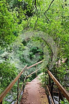 The path of the Gole del Calore In the heart of the Cilento National Park