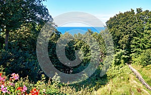 Path on the gorge with a view over the trees to the Baltic Sea. Lohme on the island of RÃ¼gen