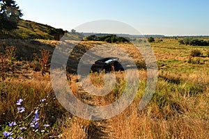 Path in the grass