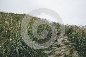 Path among grass on Wugong Mountain in Jiangxi, China