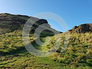 Path between grassy knolls.