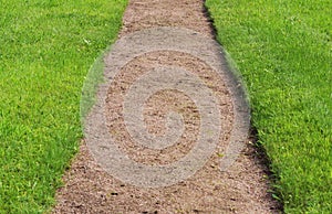 A path of gravel and a lawn of clipped green grass in the Gatchina Park.