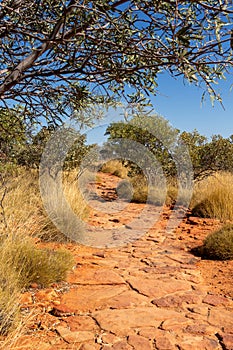 A path through green bushes, dry grass, and red ground in Kings Canyon, Red Center, Australia