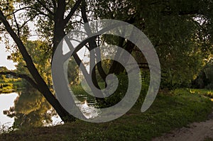 Path through green forest and little river near. Places for walk on the fresh air in summer