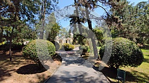 Path in a green park and trees arond