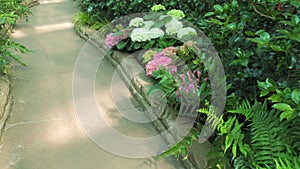 Path in the greenhouse with tropical plants. A variety of exotic plants grow and bloom in the botanical garden