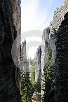 Path between grey towers of Prachov Rocks