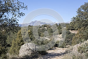 Path in Guadarrama Mountains National Park, Madrid