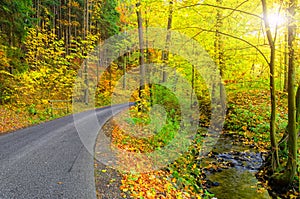 Path guiding through nature park