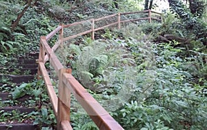 Path with handrail in the waterfalls of Hortas, Arzua