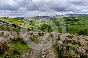 Path from Hayfield