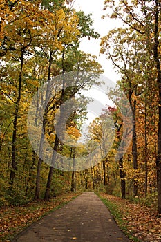 A path through the heart of a forest in autumn in Petrifying Springs Park, Wisconsin