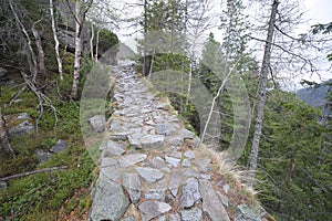 Path in highland.