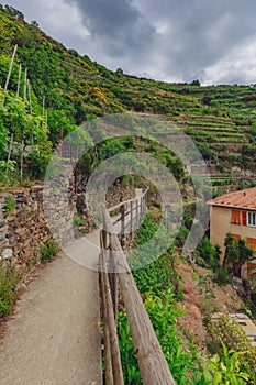 Path by hill and house in Manarola, Cinque Terre, Italy