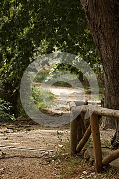 Path in the Hortet del Pobre de Alcoi photo