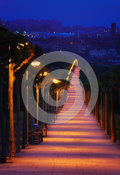 Path illuminated with lampposts at night