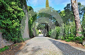 The path inside the castle photo