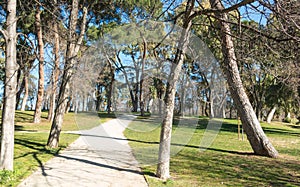 Path inside the Retiro Park in Madrid. The Buen Retiro Park is a