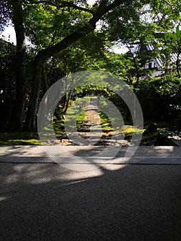 Path inside Ryoan Temple, Japan