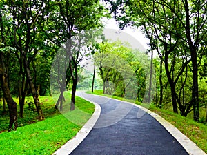 Path inside Xixi Wetland Park