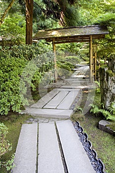 Path in Japanese garden
