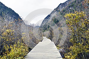 Path , Jiuzhaigou