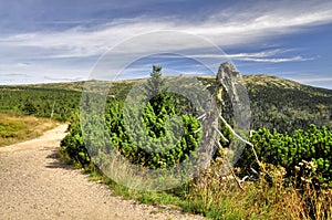 Path in Krkonose