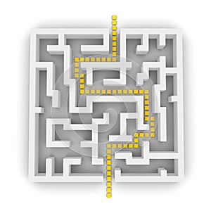 Path through labyrinth 3d