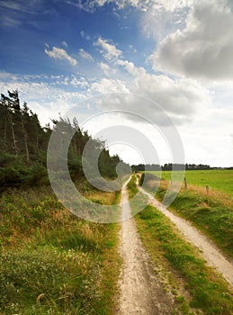 Path, landscape and trees with sky in countryside for travel, adventure and roadtrip with forest in nature. Road, clouds