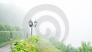 Path with lanterns and a green slope to the lake with heavy evaporation fog in the summer morning. background