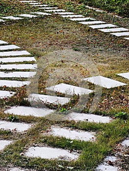 Path on lawn in garden