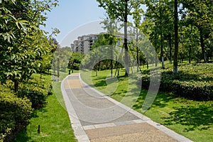Path in lawn to storied apartments on sunny summer day
