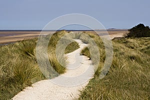 A path leading across the sand dunes