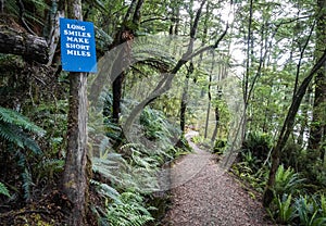 Path leading through dense jungle/forest with motivational message on sign next to track