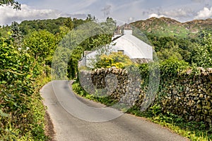 A path leading through a field towards a forest and mountains.